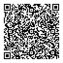Z N Ali QR vCard