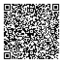 N Ali QR vCard