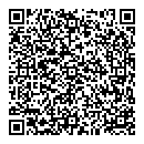 Dominic C P Chan QR vCard