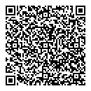 S Ali QR vCard