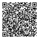 B Wong QR vCard