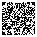 P Wong QR vCard