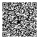 Henry Chan QR vCard