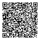 S Liu QR vCard