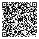 N Ali QR vCard
