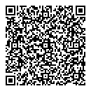 D G Williams QR vCard