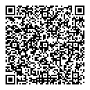 David Chan QR vCard