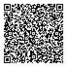 Cash Shop QR vCard