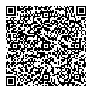 V Nguyen QR vCard
