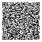 Lts Consulting QR vCard
