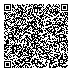 Forbes Ford Sales QR vCard
