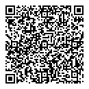 Syed Ali QR vCard