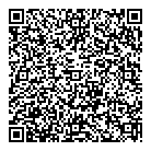 Videoplex QR vCard