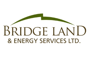 Bridge Land & Energy Services Ltd. logo